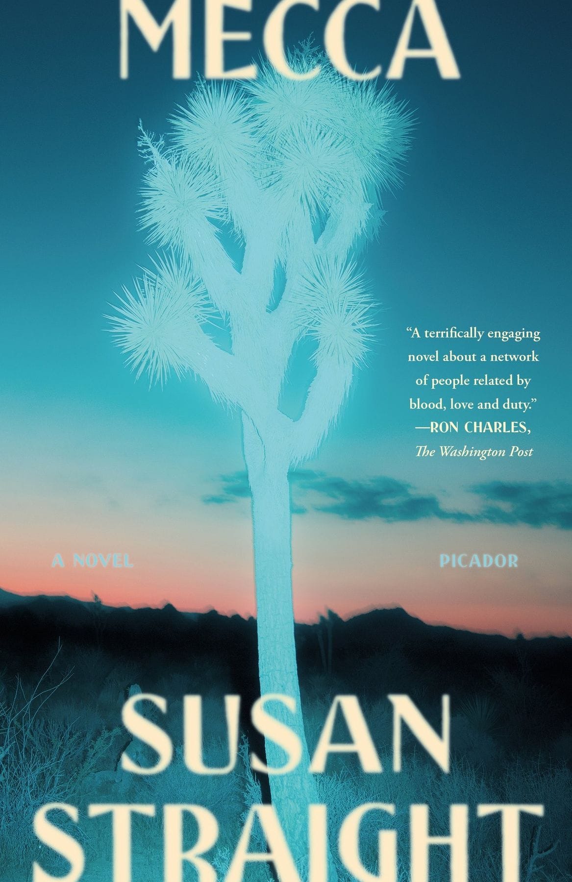 Mecca (Susan Straight)
