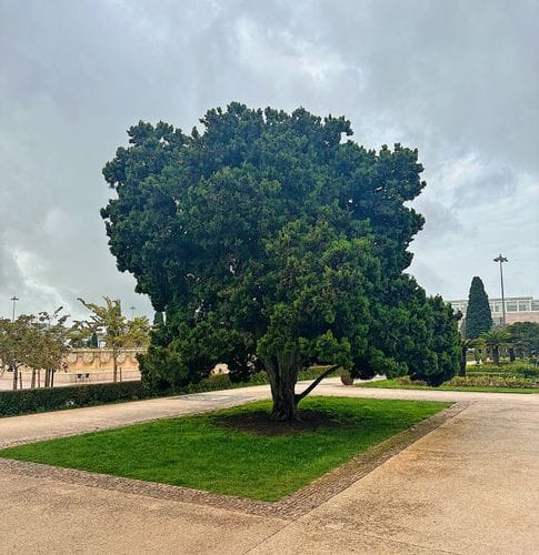 Lisbon, Portugal