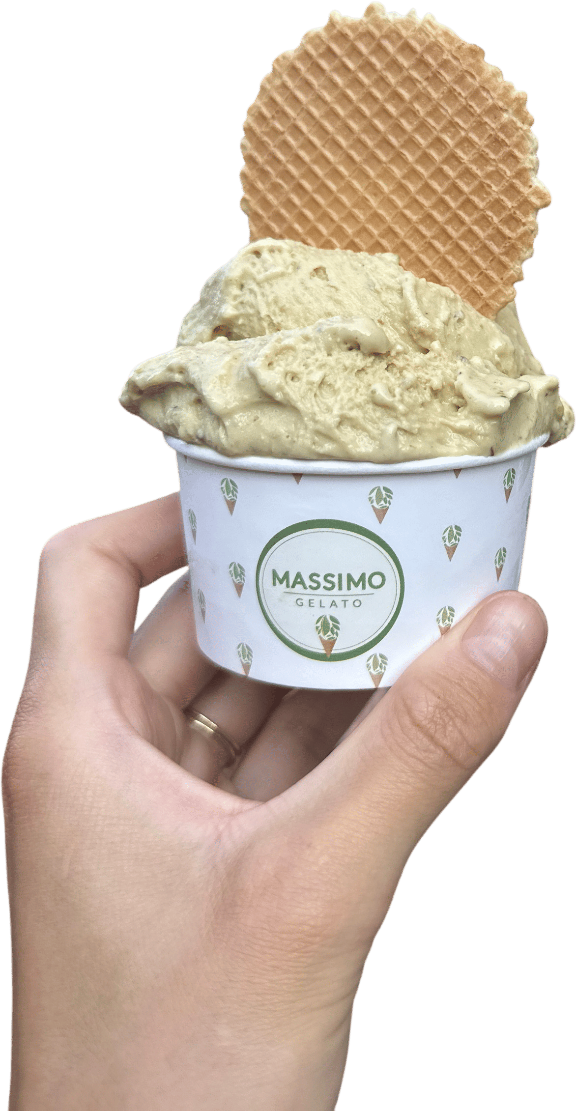 Massimo Gelato
