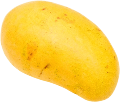 Ataulfo Mango