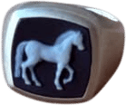 Petrvs Horse Ring