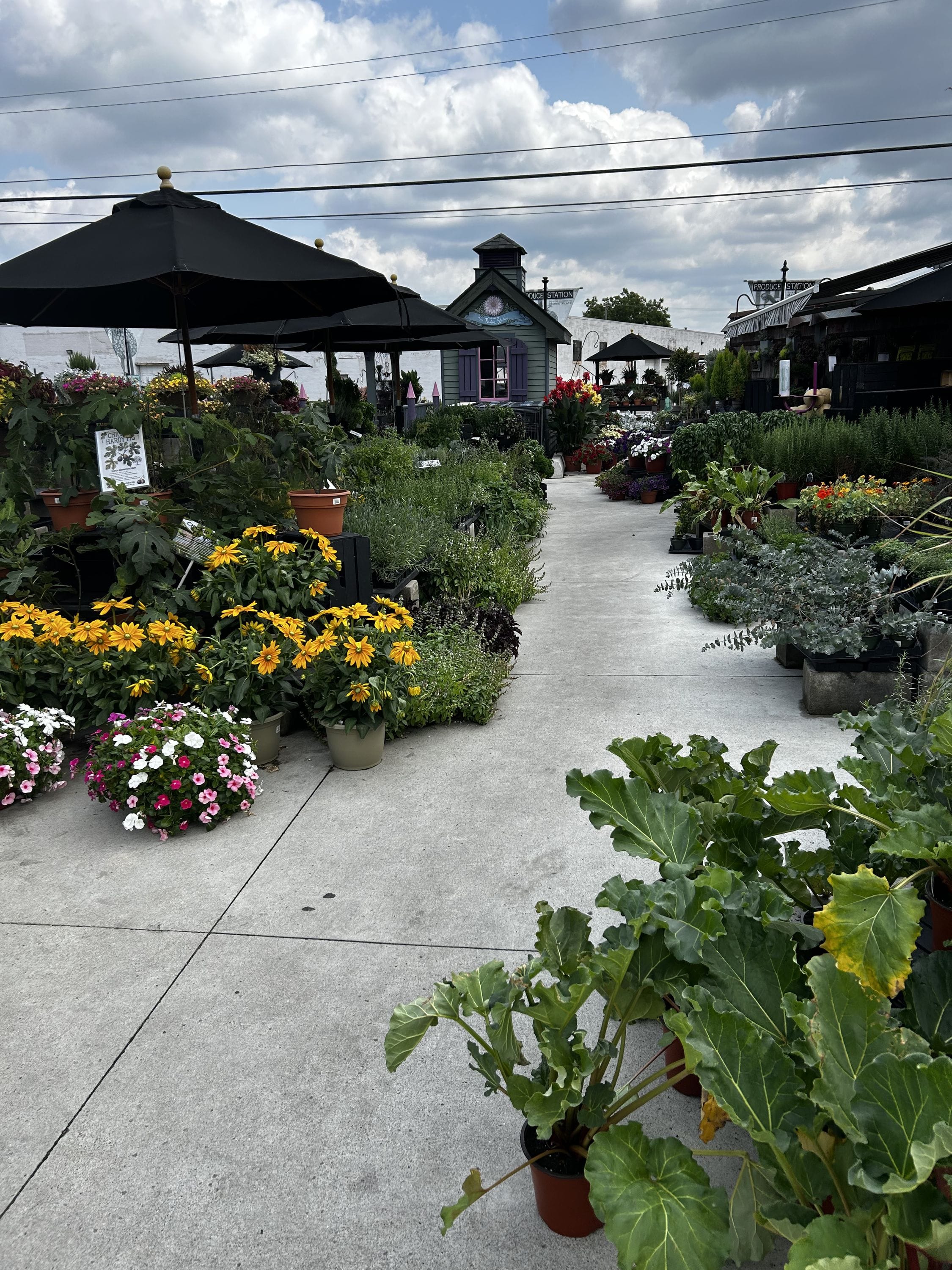 The Produce Station: Ann Arbor, Michigan