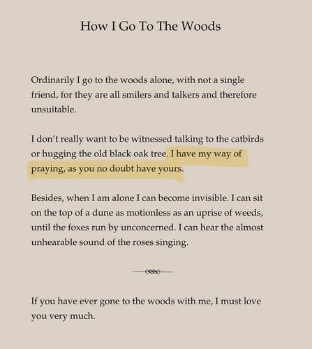 How I Go To The Woods by Mary Oliver