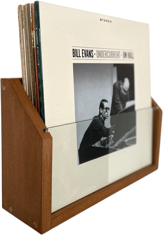 Vinyl Record Storage Shelf