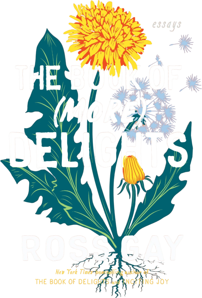THE BOOK OF (MORE) DELIGHTS