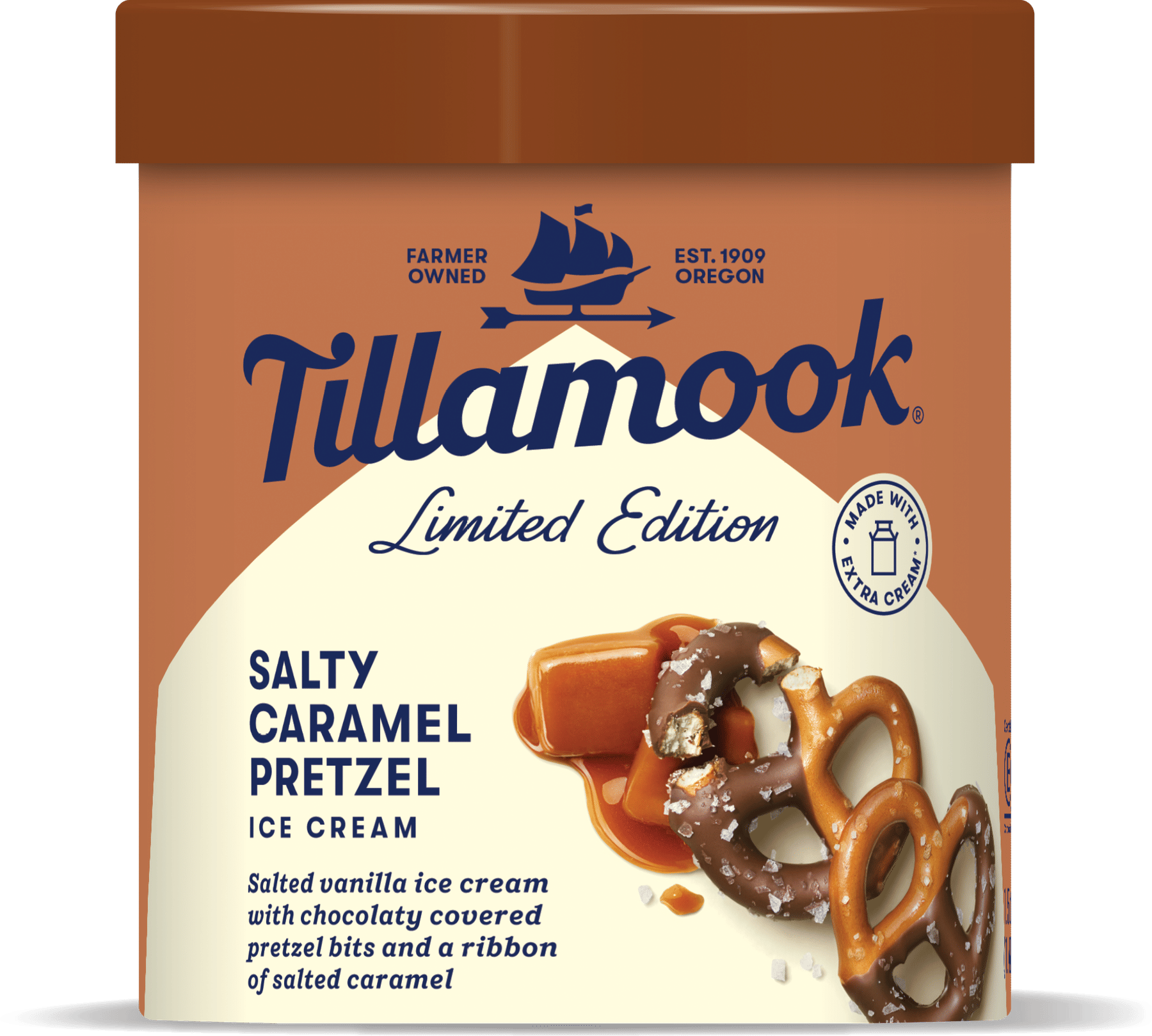 Salty Caramel Pretzel Ice Cream