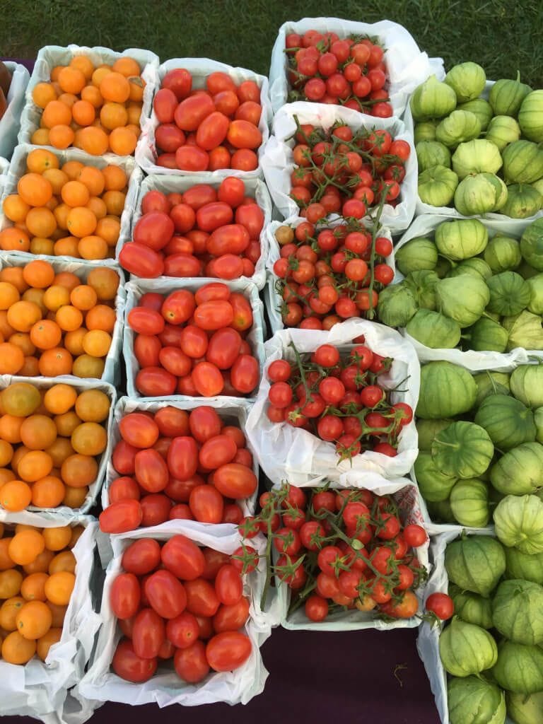 Thursday Farmers Market