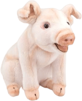 Pig Stuffed Animal