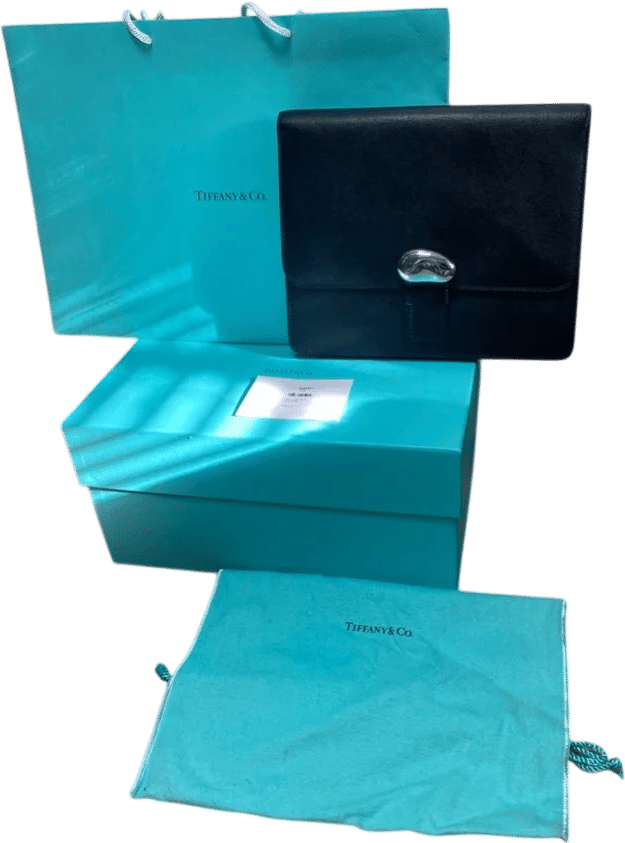 Elsa Peretti Bean Clutch