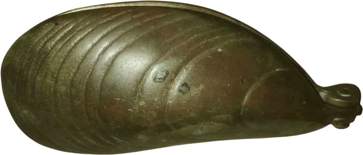 Shell pill box