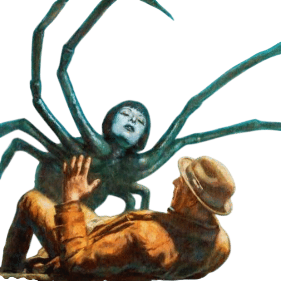 The Morbid Zoo