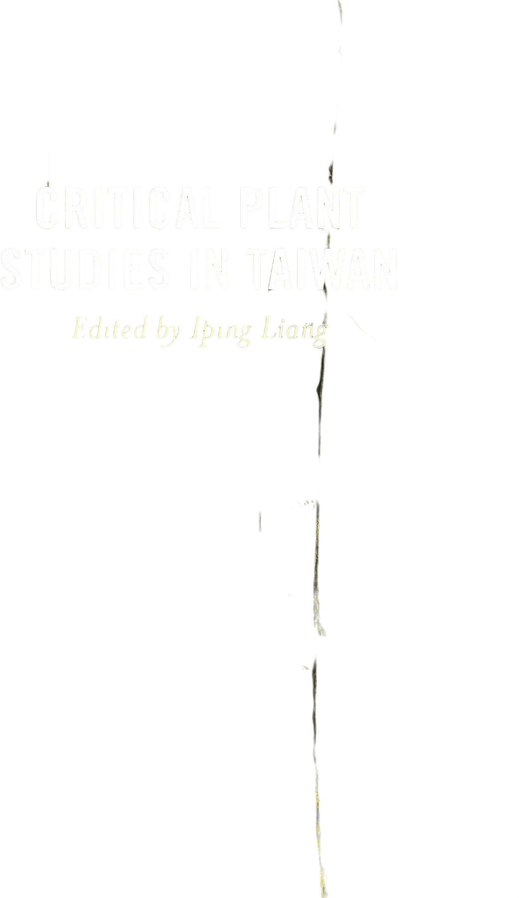 Critical Plant Studies in Taiwan