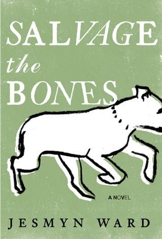 Salvage the Bones - Jesmyn Ward