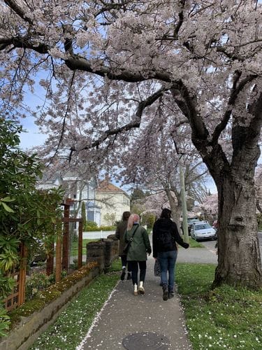 Going on an urban hike