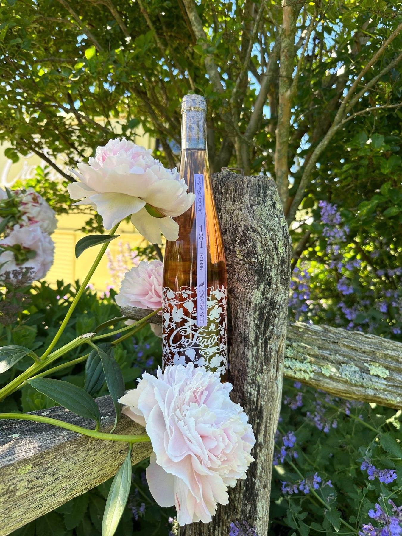 Croteaux Rosé