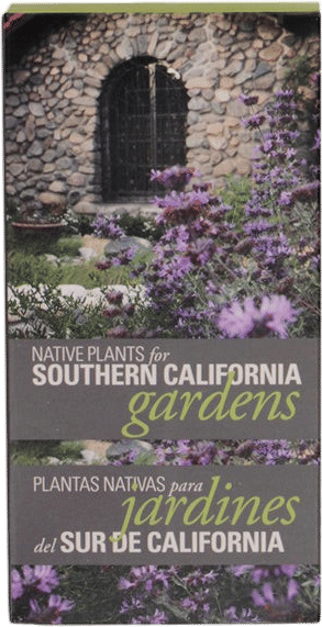 Native Plants for Southern California Gardens Flashcards