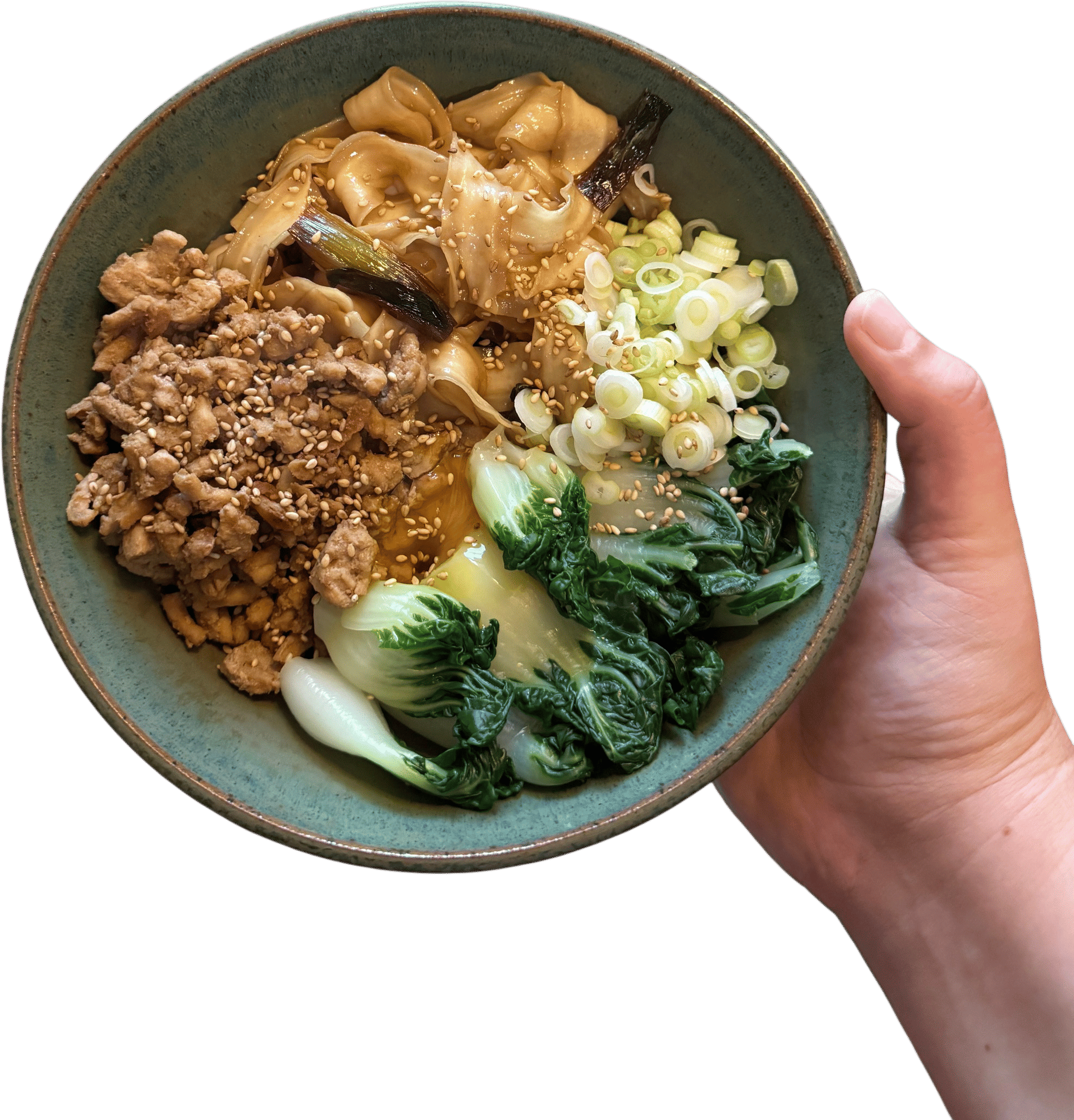 Scallion Oil Noodles with Honey Soy Chicken Recipe