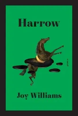 Harrow : A Novel by Joy Williams