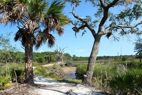 Skidaway State Park