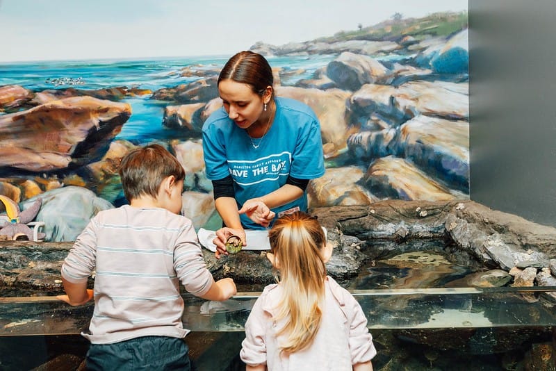 Save The Bay Aquarium