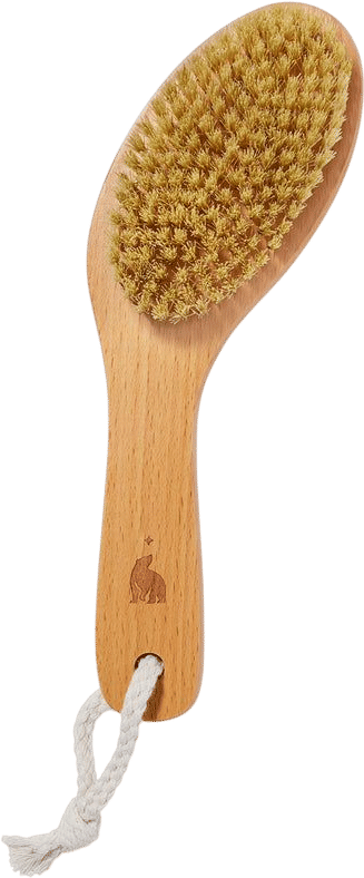 Ursa Major Dry Brush