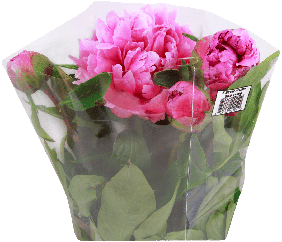 trader joes peonies