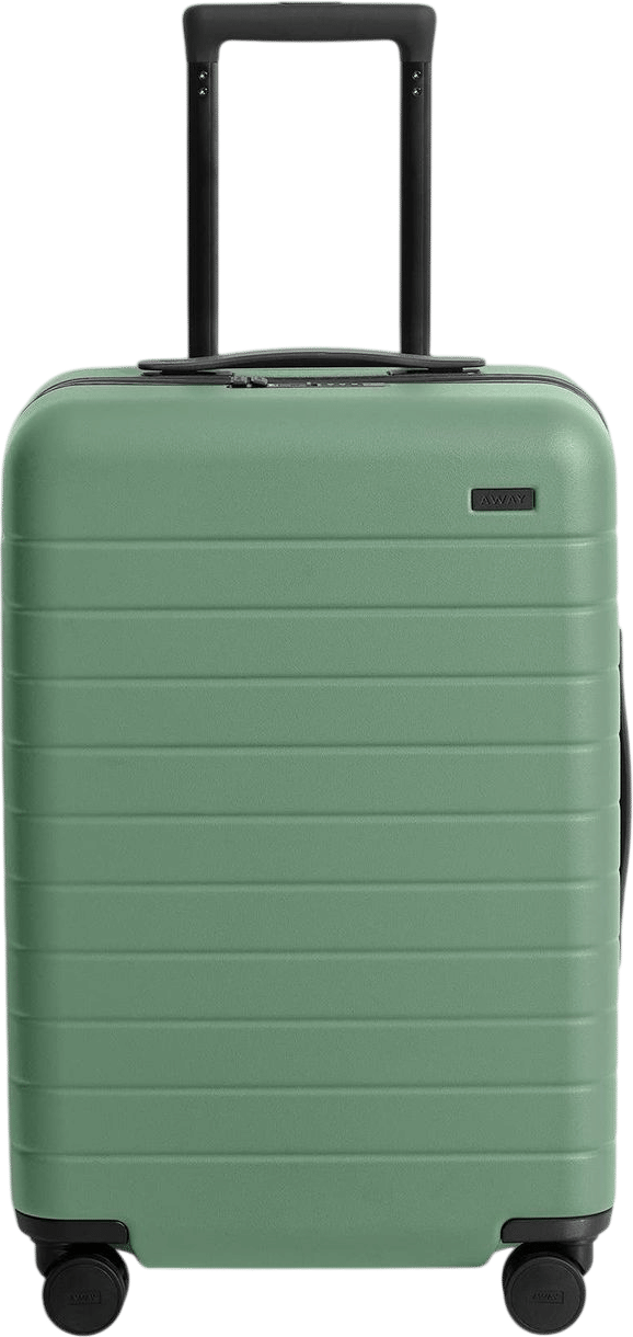 Away The Bigger Carry-On suitcase in Sea Green