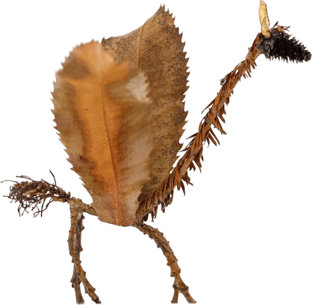 Isabella Kirkland: Creatures