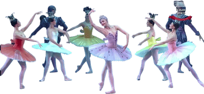 The Sleeping Beauty (Bolshoi Ballet)