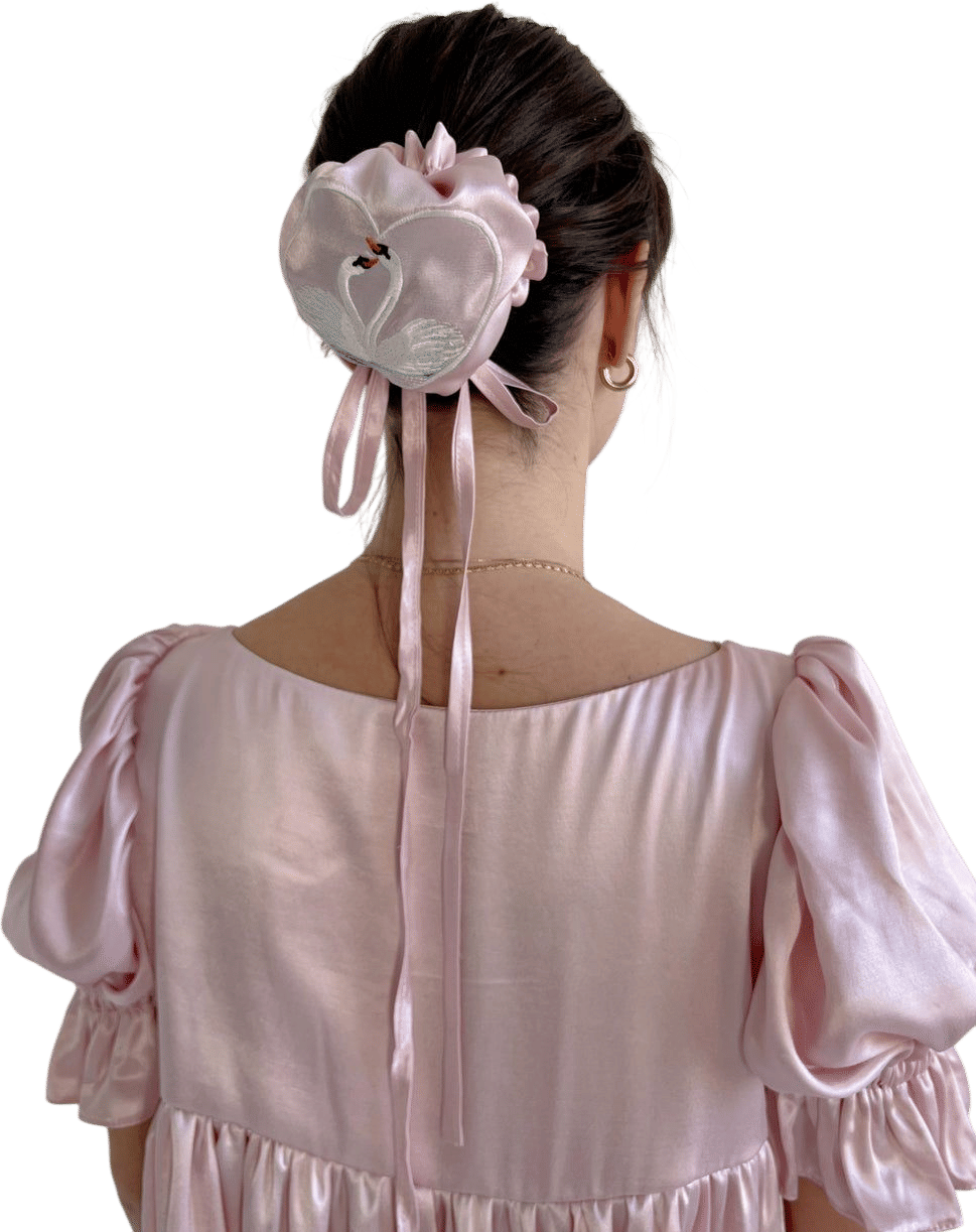 Swan Lake Bun Cover