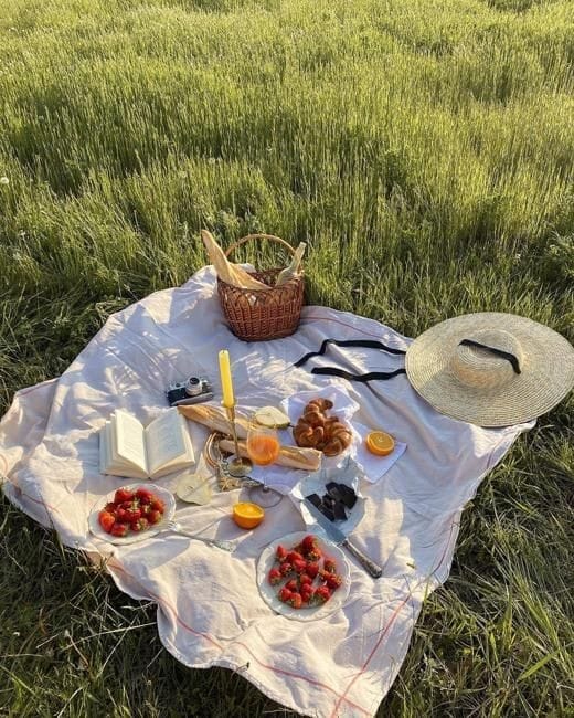 Picnics
