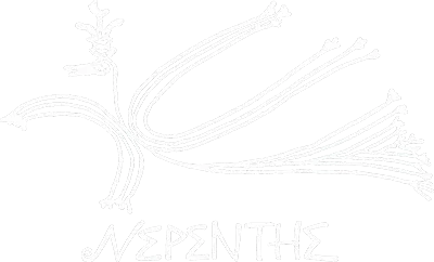 Nepenthe | Big Sur