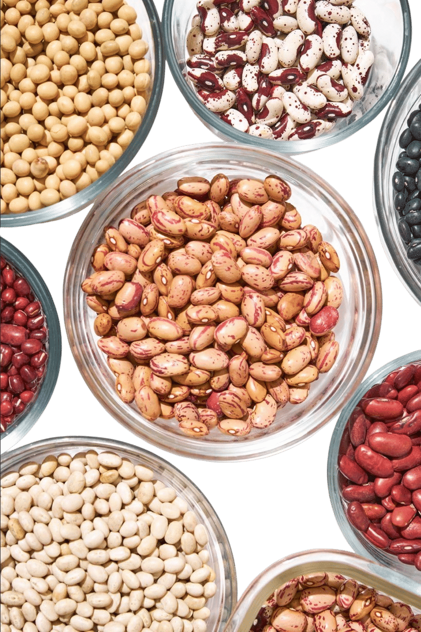 Saying “beans beans the magical fruit”