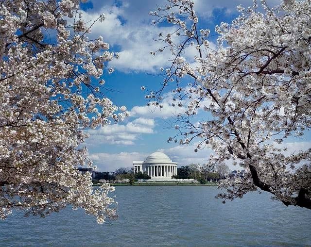 Jefferson Memorial