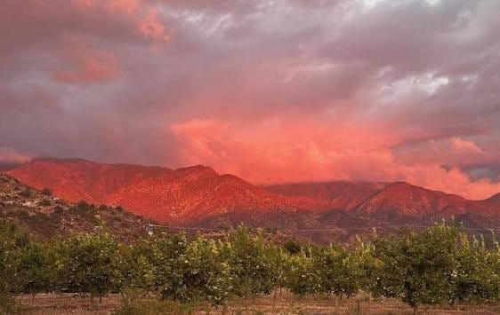 Ojai Pink Moment