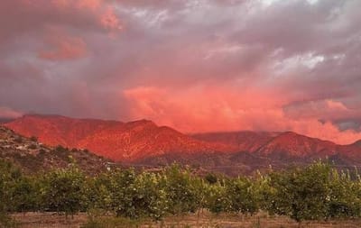 Ojai Pink Moment