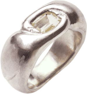 Nest Ring