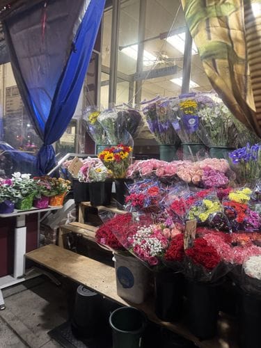 Spring Nights out in NYC