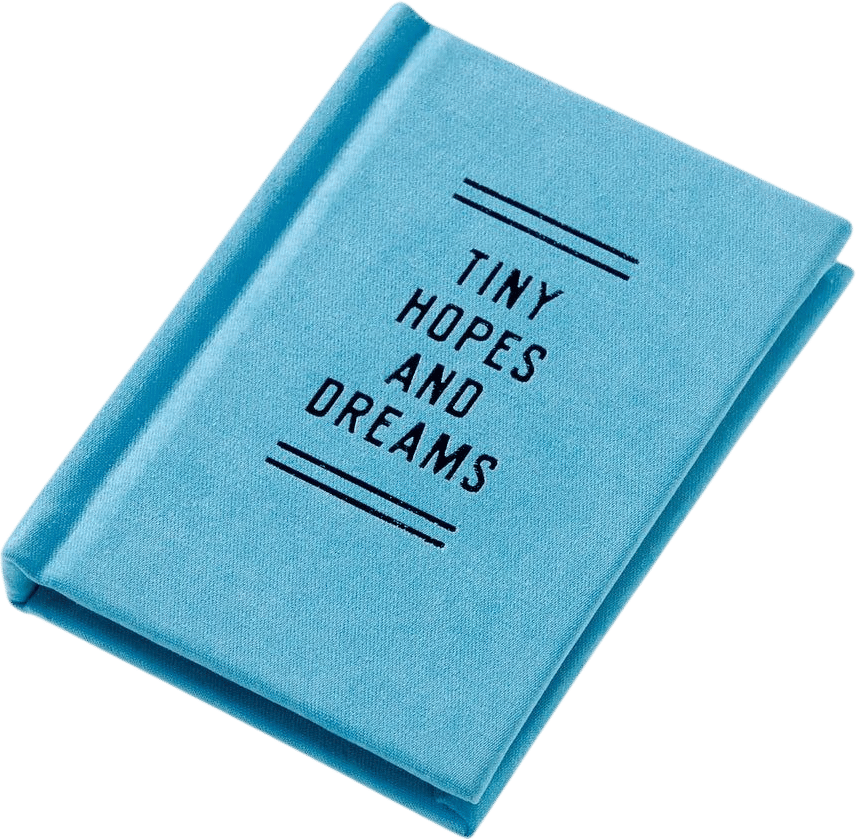 Tiny Hopes and Dreams Diary