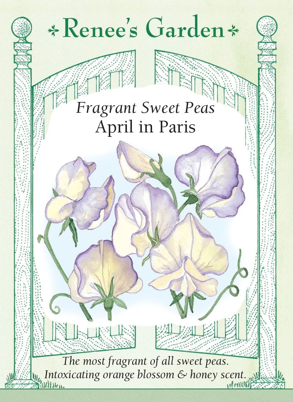 Sweet Peas — "April in Paris"
