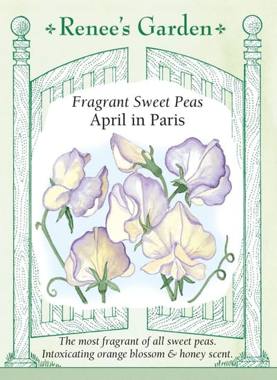 Sweet Peas "April in Paris" Seeds