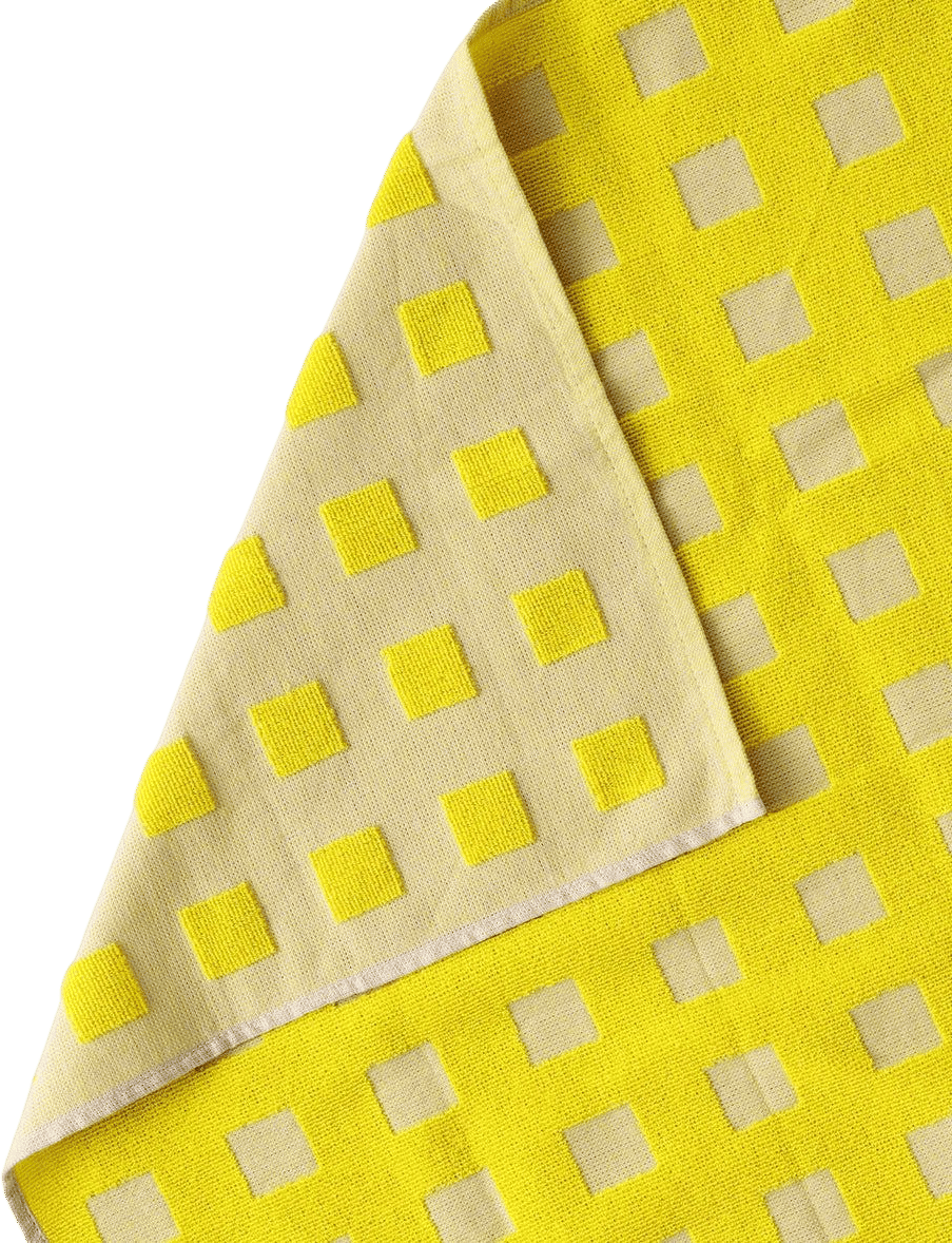 Kangan Arora Dish Towel