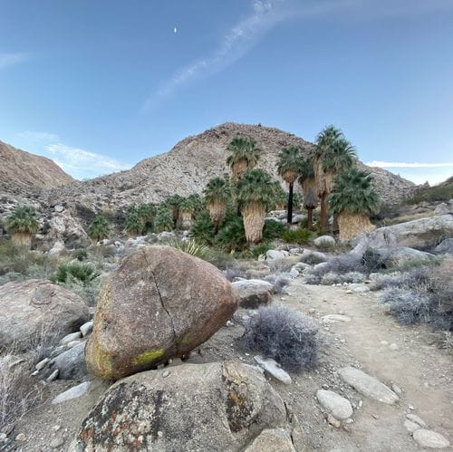 Fortynine Palms Oasis Trail
