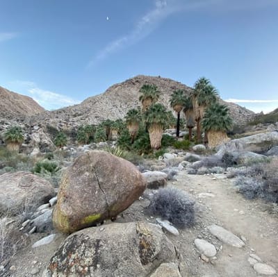 Fortynine Palms Oasis Trail