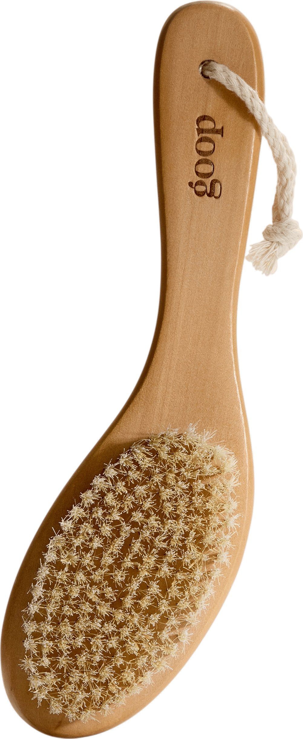 goop ultimate dry brush