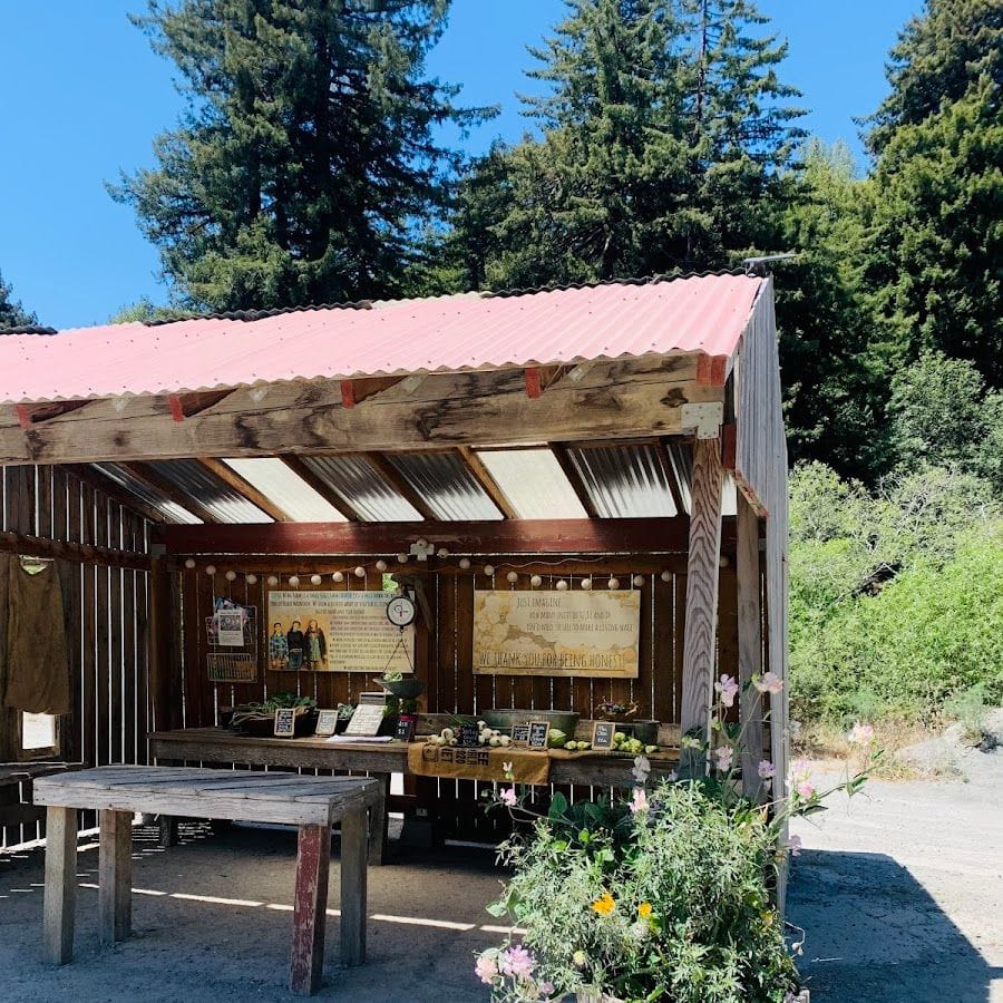 Little Wing Farm Stand 