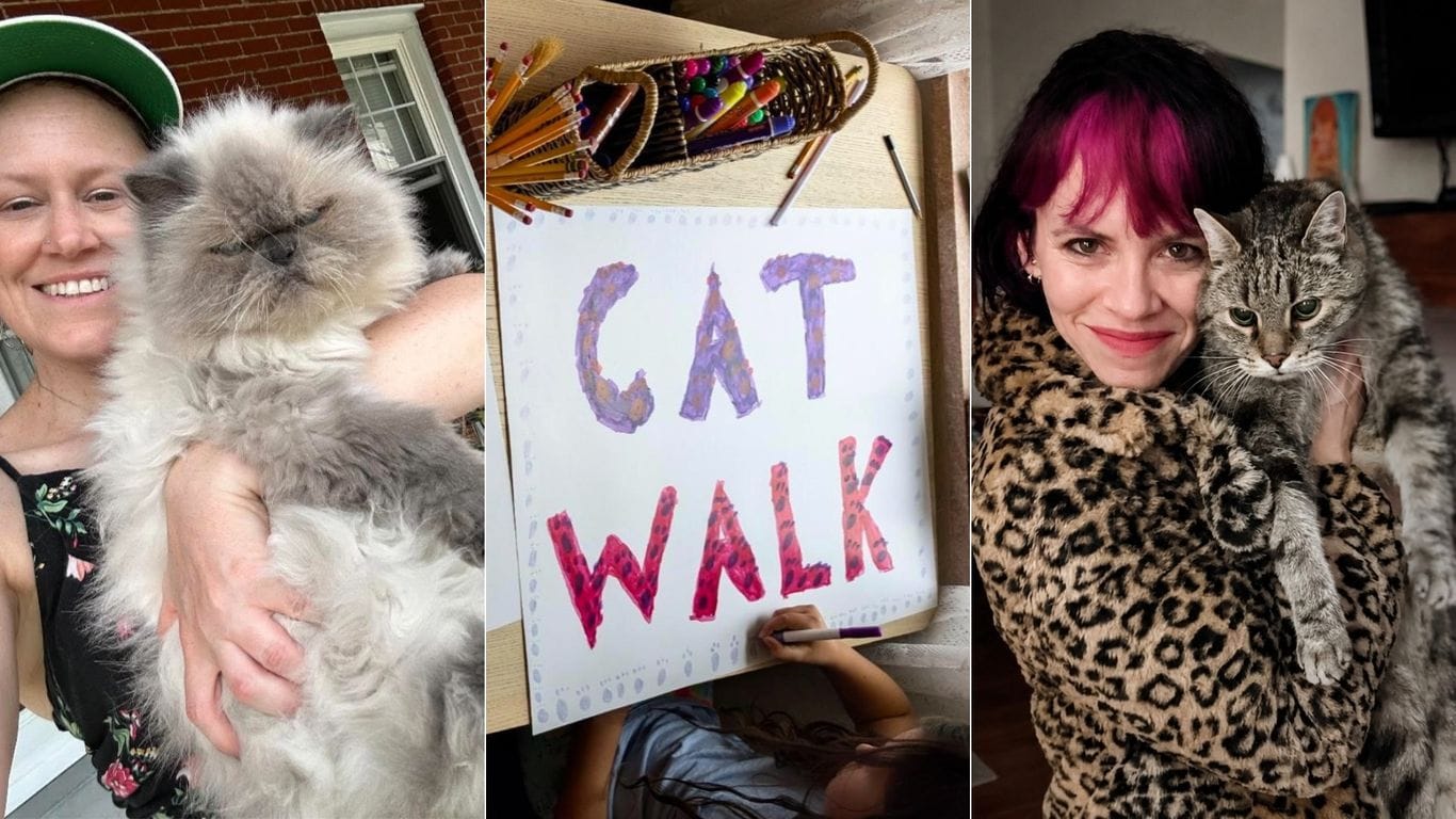 Pittsburgh Cat Walk