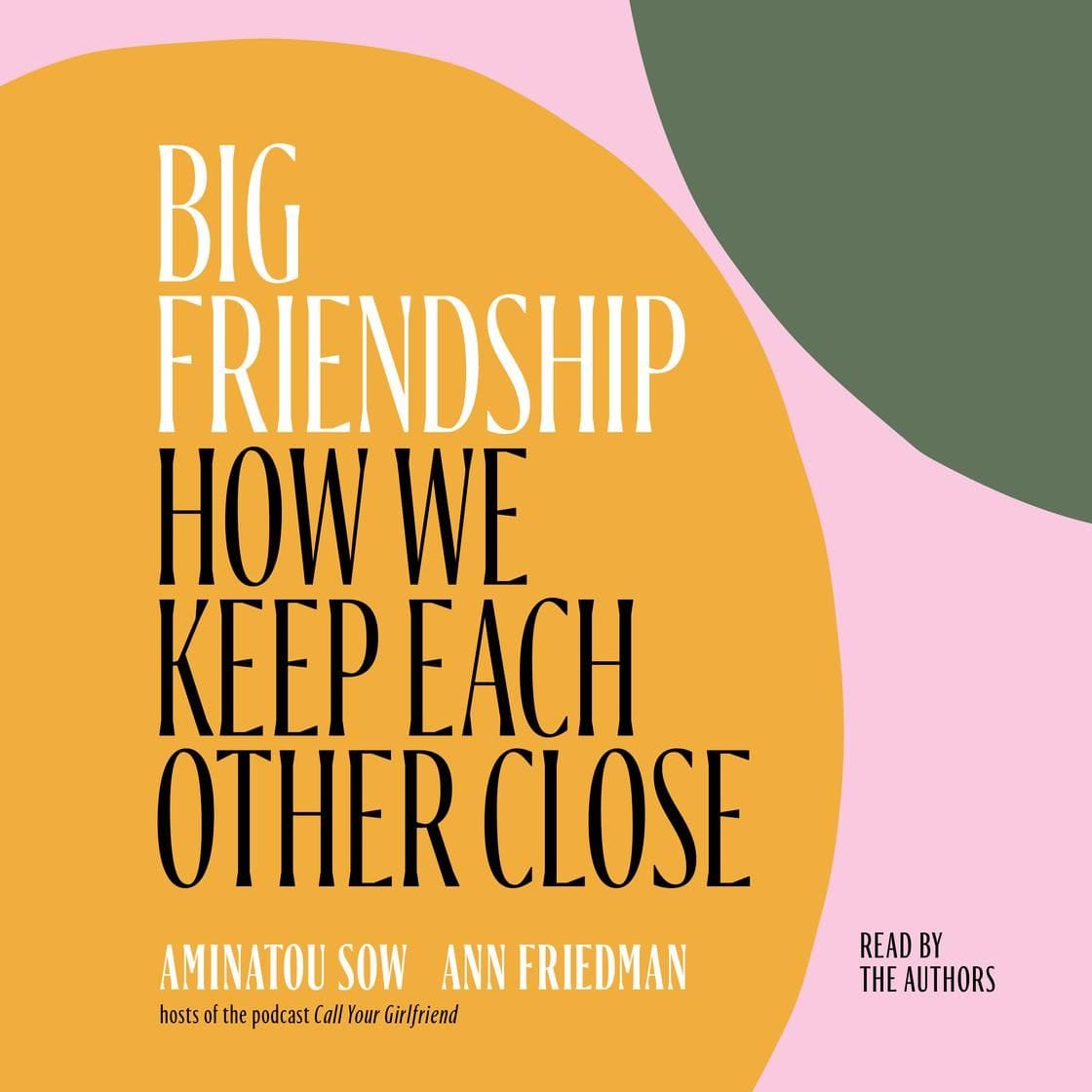 Big Friendship on Audio