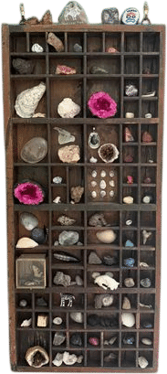 curiosity collection