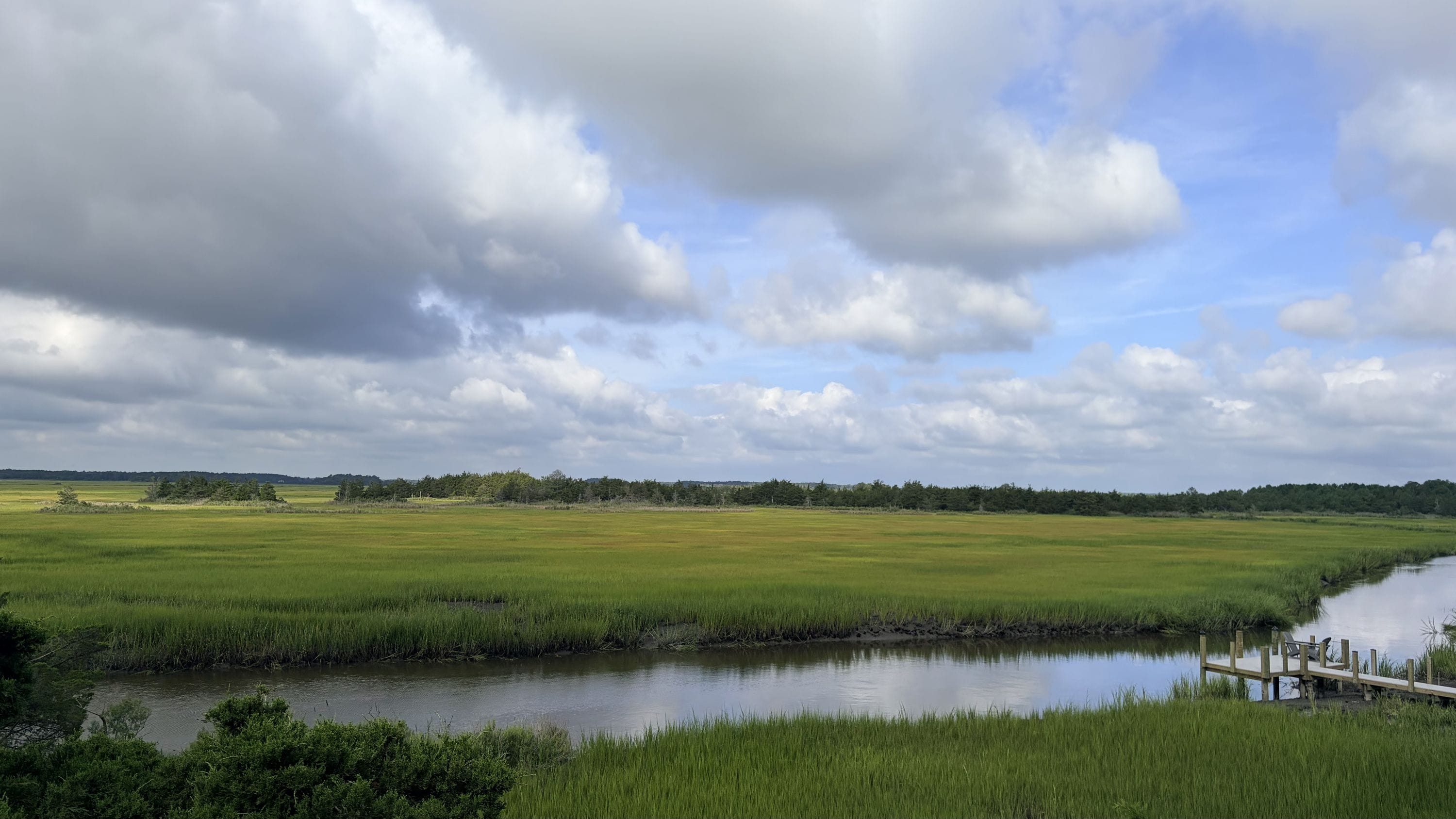 Marshes